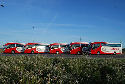 Lucitur Transportes