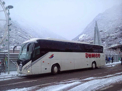 Dumbo Tours