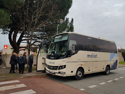 Autocares Molist