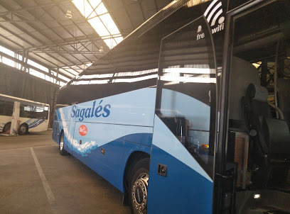 Sagalés